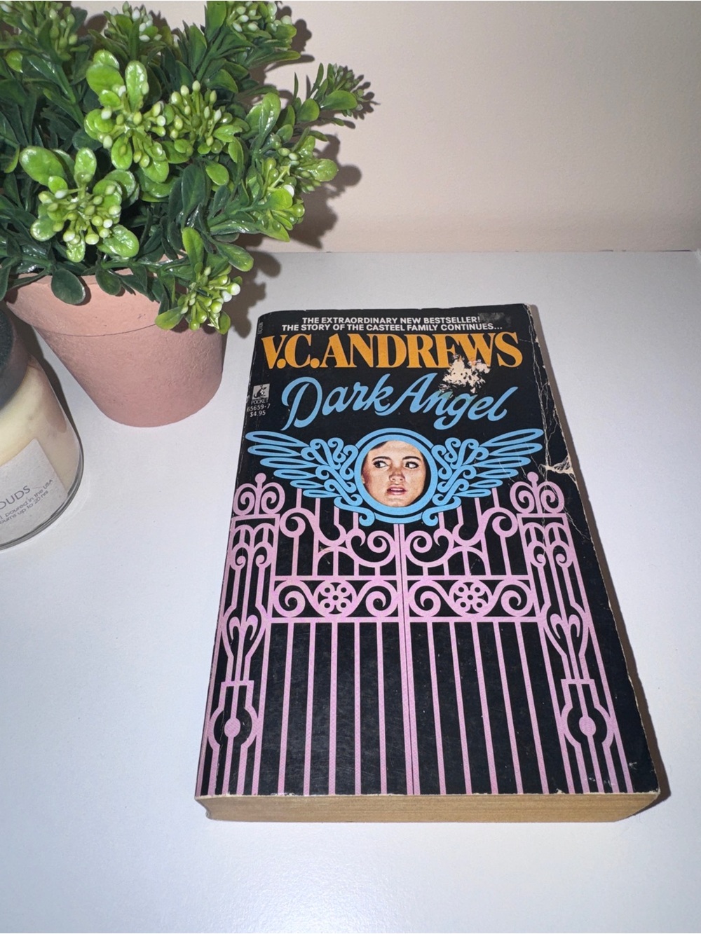 Dark Angel Paperback Book - Black with Pink & Blue Cover
